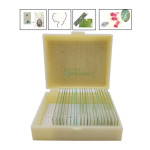 Protozoa & Algae Slide Set of 2